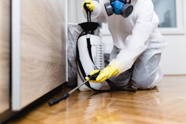 Best Affordable Exterminators  in Experiment, GA