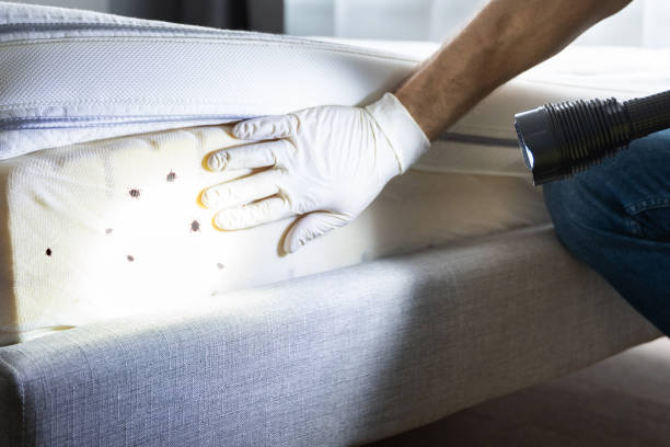 Best Best Pest Control Companies  in Experiment, GA