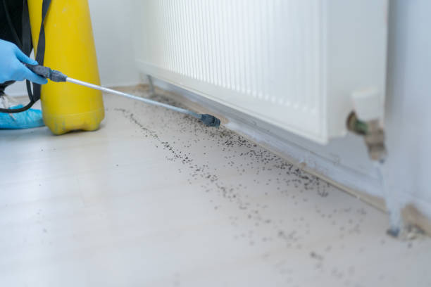 Best Mosquito Control Services  in Experiment, GA