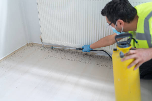 Best Affordable Pest Control Services  in Experiment, GA